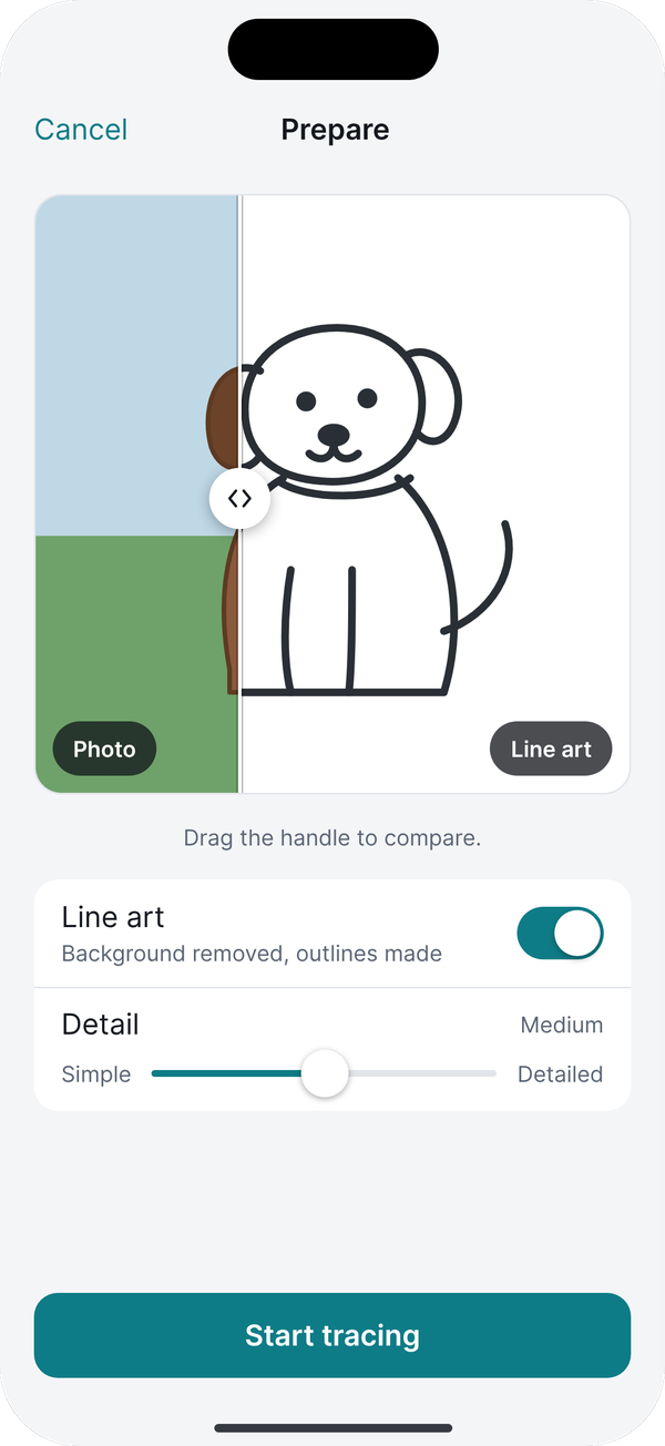 A photo turned into line art